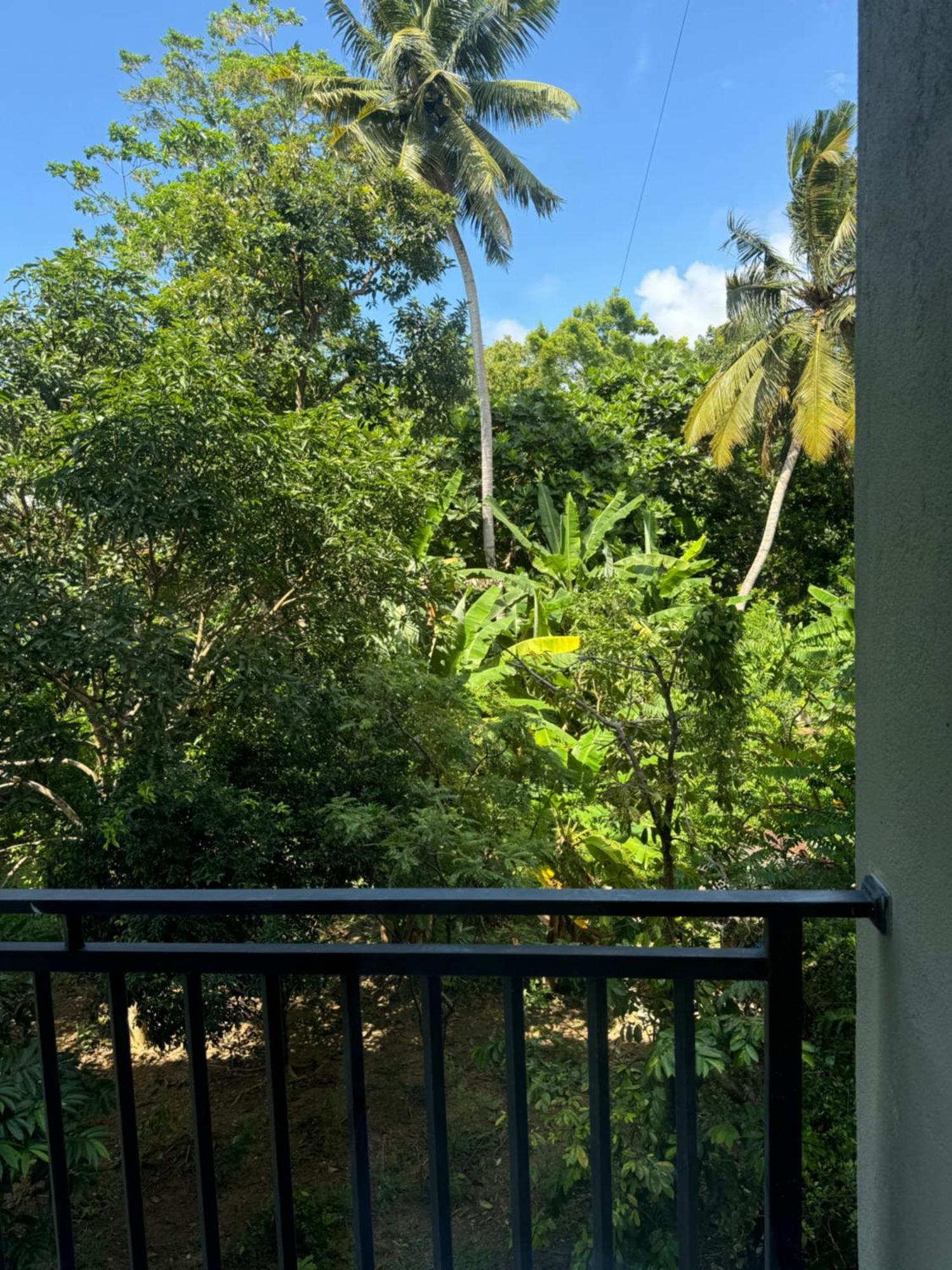 Sapiens Home - Weligama Bay Eksteriør billede