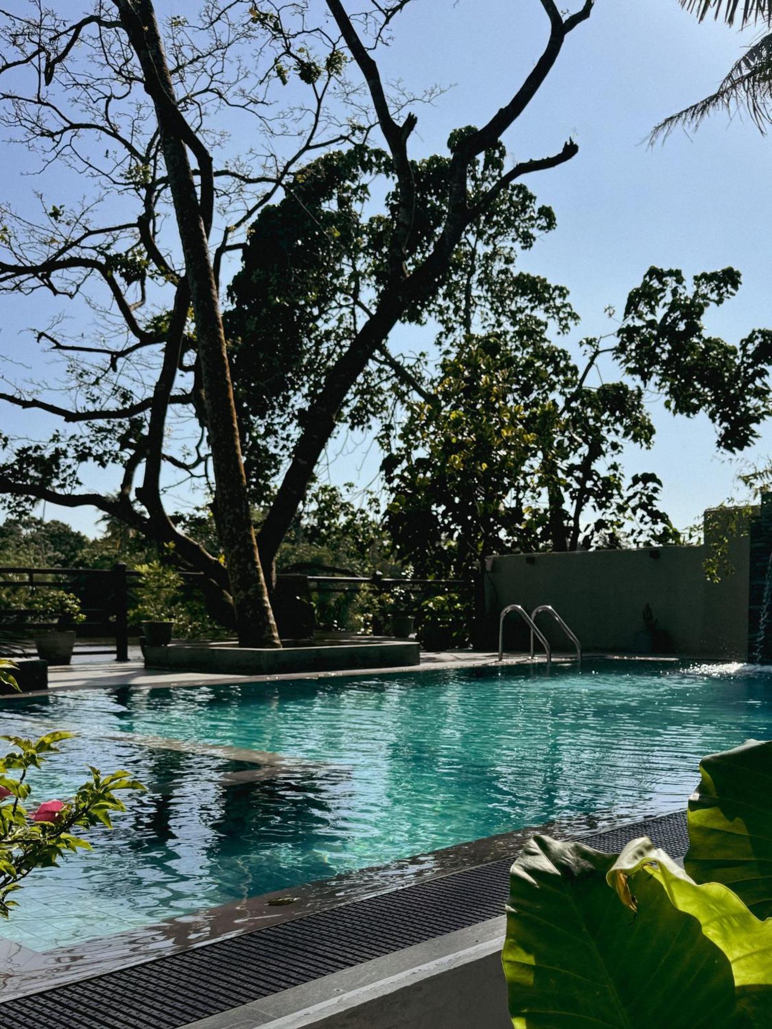 Sapiens Home - Weligama Bay Eksteriør billede