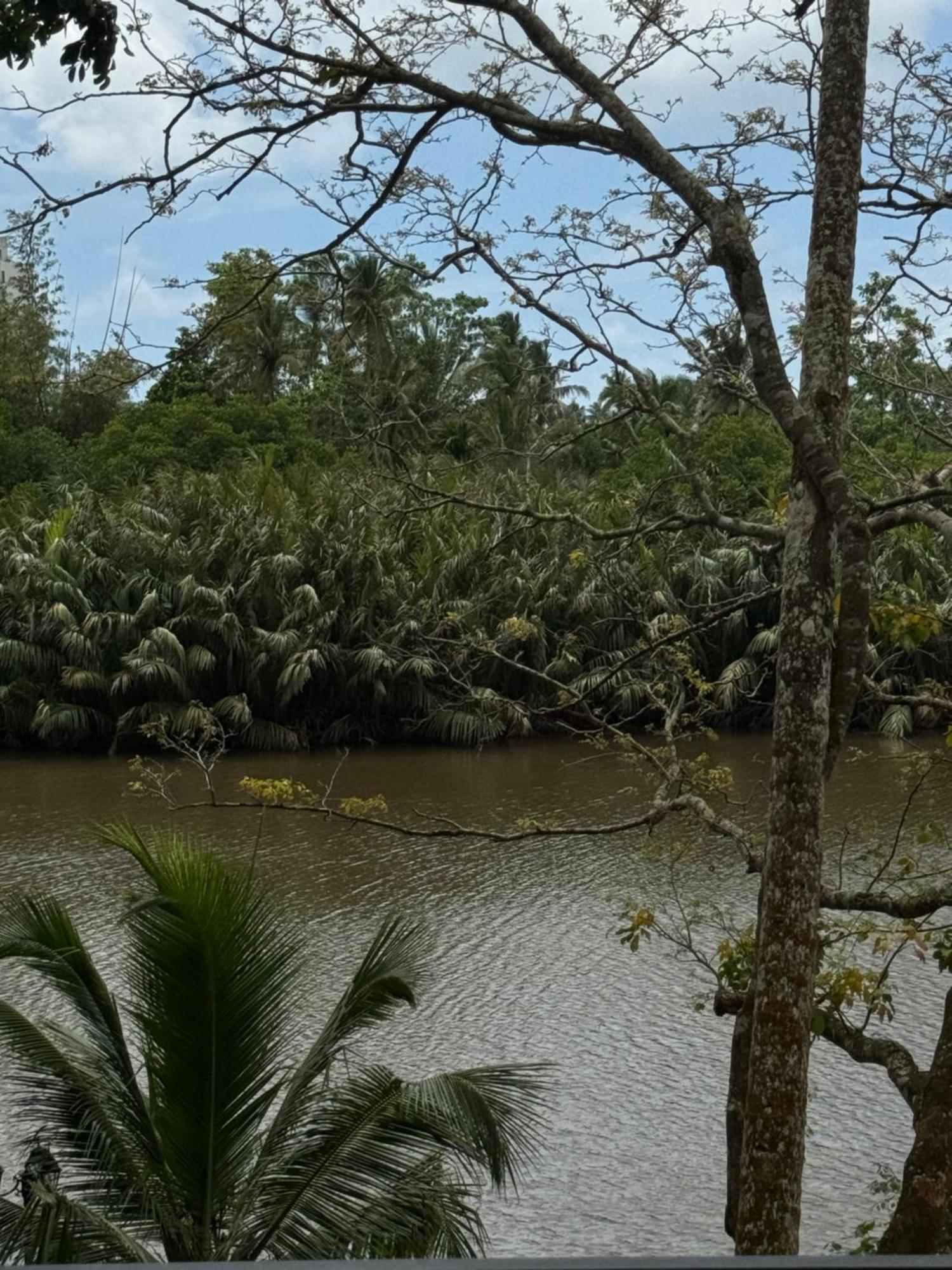 Sapiens Home - Weligama Bay Eksteriør billede